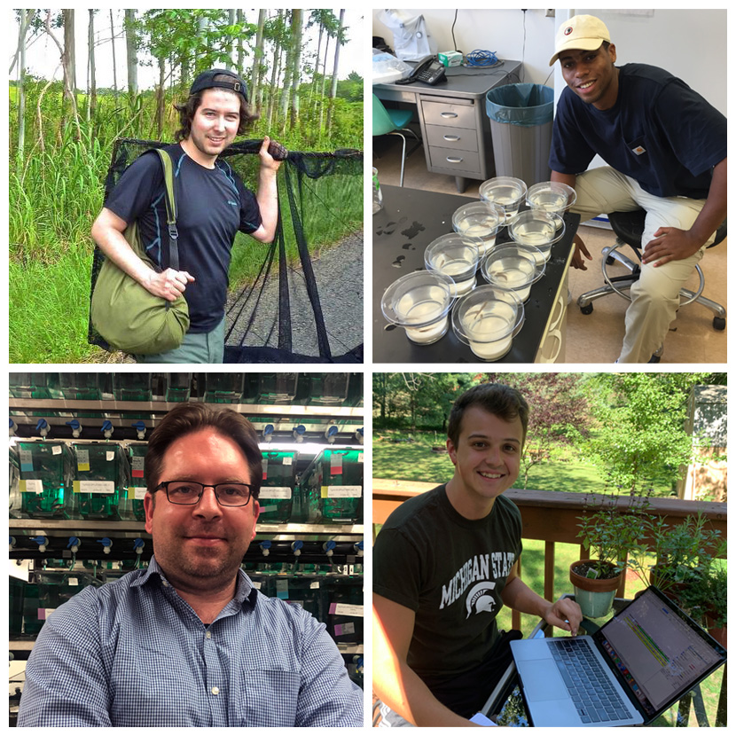 Andrew Thompson, postdoctoral research associate; undergraduate researchers Myles Davoll and Harrison Wojtas; and Assistant Professor Ingo Braasch