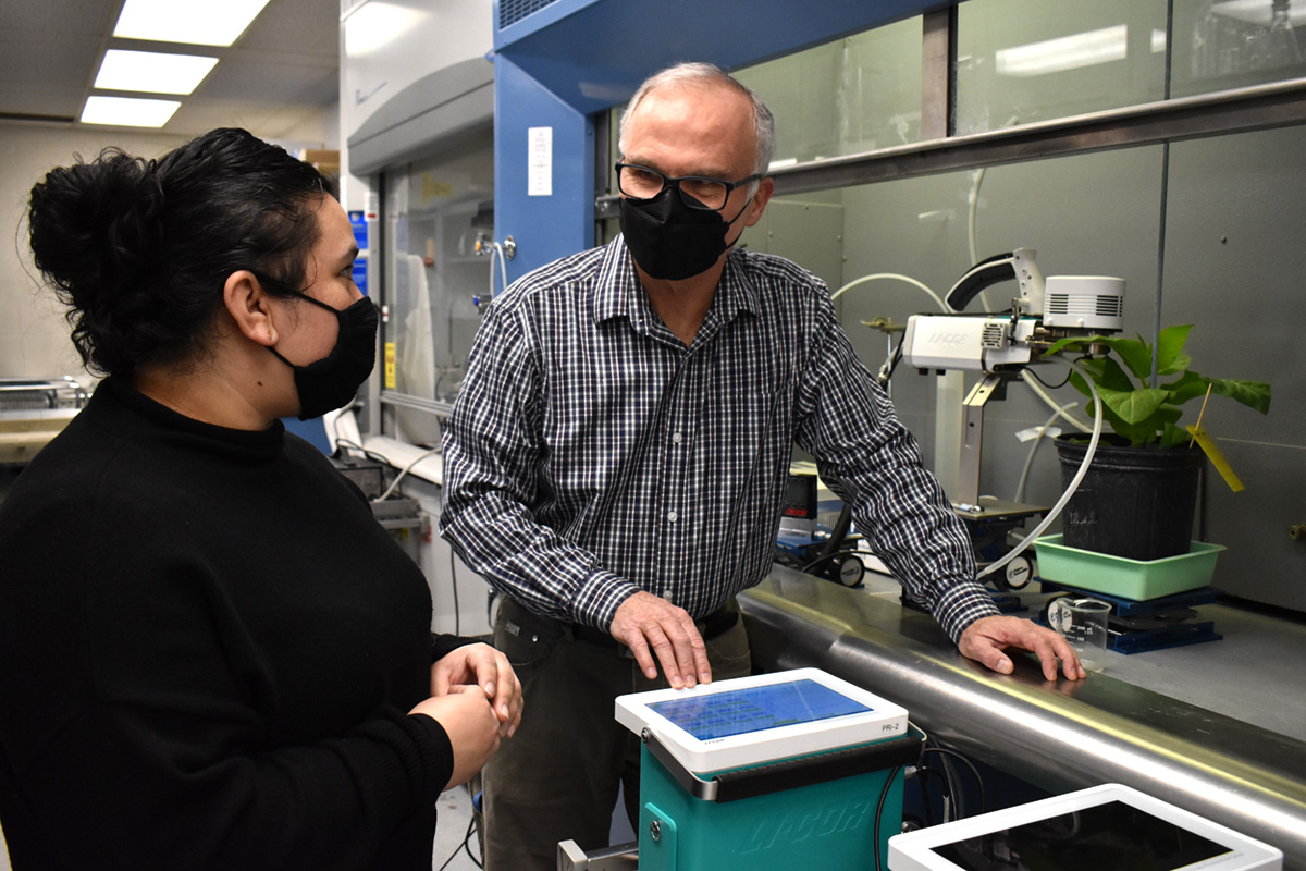 Bianca Serda (left) and Thomas Sharkey (right) talk in a lab in front of a fume hood with a plant growing inside.