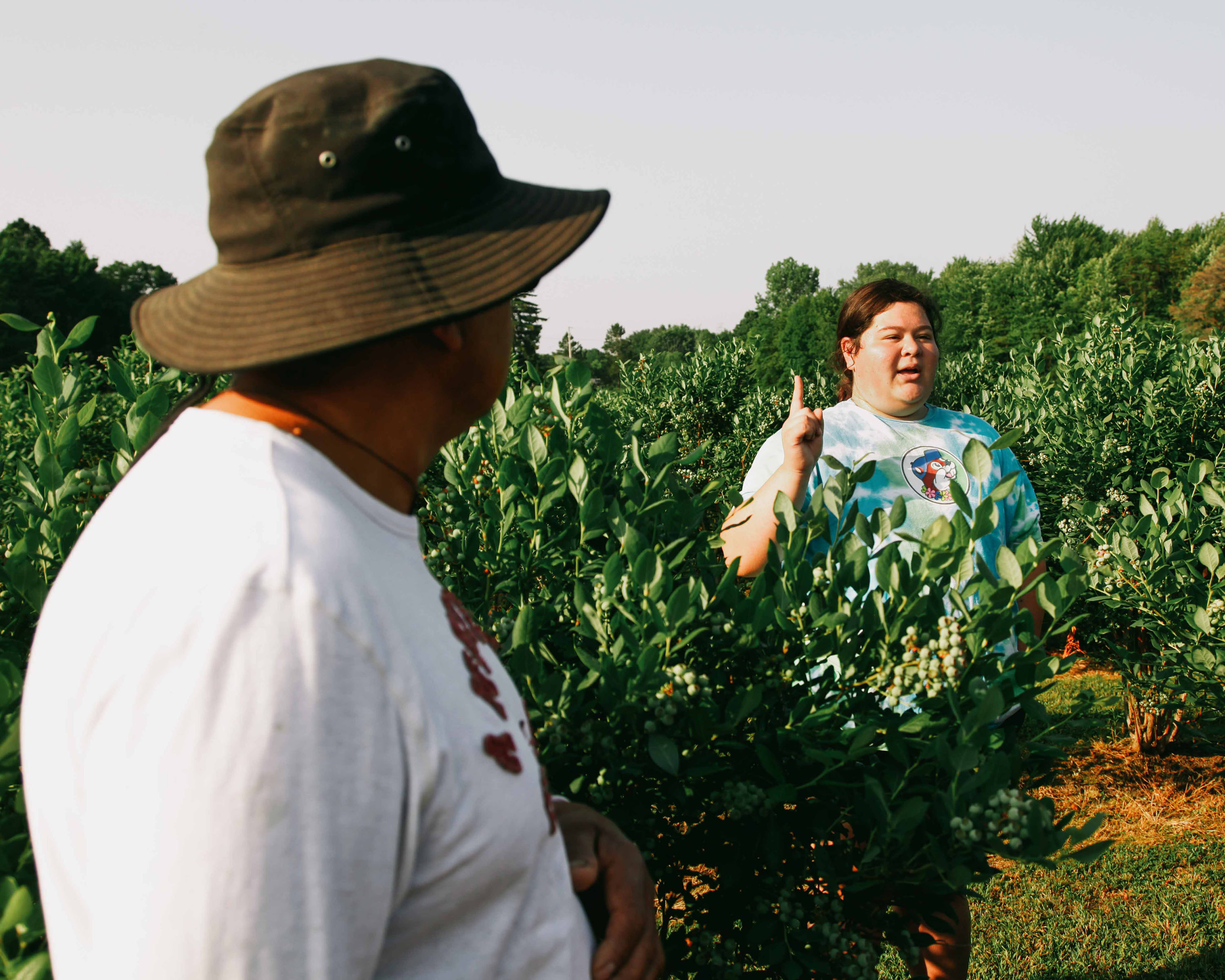 Leonel Campos listens in the foreground to his daughter speaking while standing among rows of blueberries.