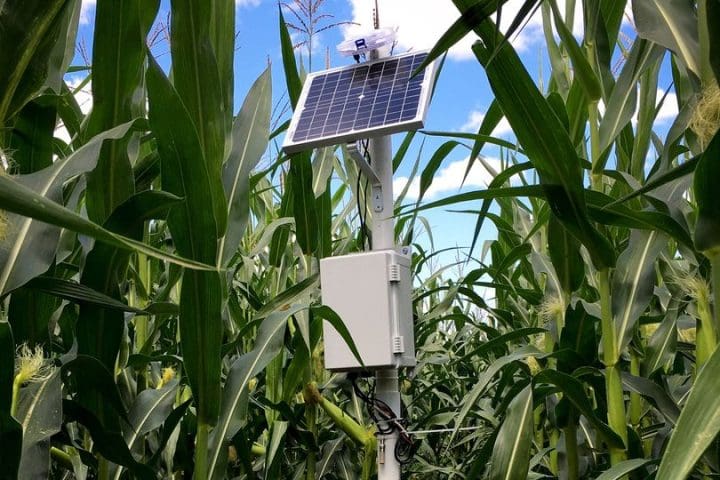 Irrigation Sensors in a field