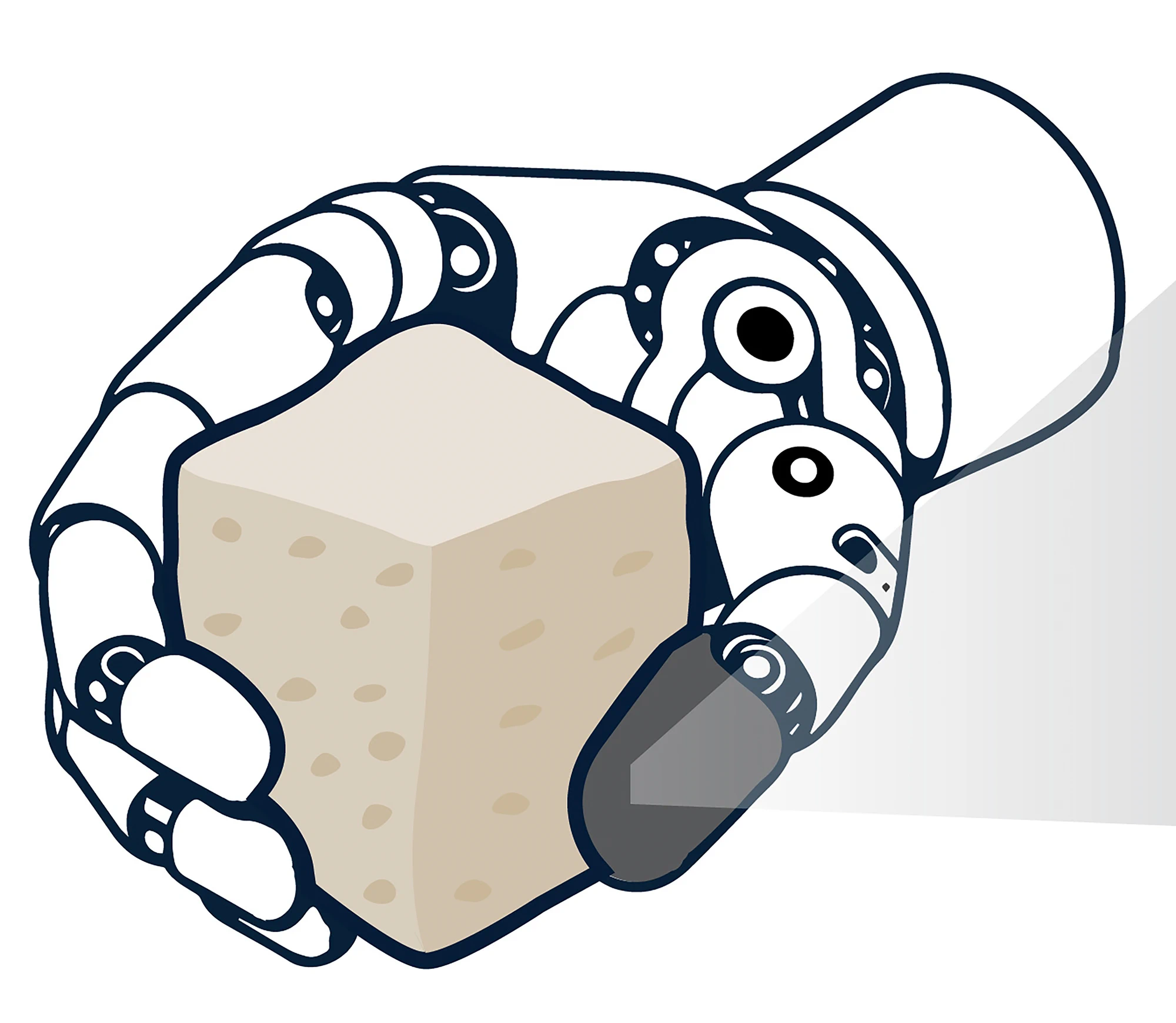 An optical system is being developed so robots can better manipulate soft and fragile objects.