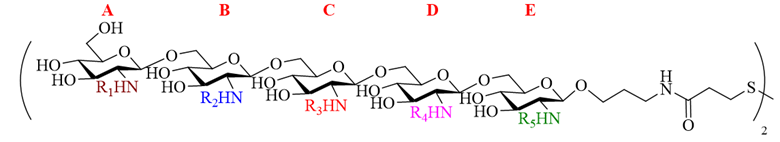 A visualization of the chemical structure that provides the basis for the PNAG library created by Xuefei Huang of Michigan State University and his team.