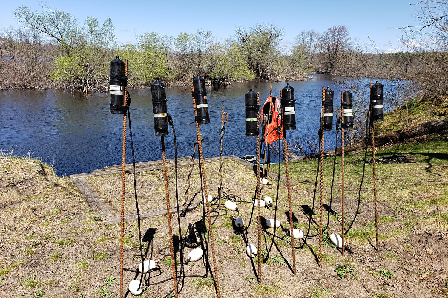 A row of acoustic telemetry receivers attached to metal rods stands upright on the ground near a riverbank. White floats and cables are connected to each unit. Trees and water are visible in the background under a clear blue sky.